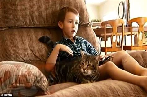 Tara The Cat Saves Boy From Dog In Dramatic Video Daily Mail Online