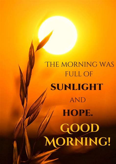 25-beautiful-good-morning-sunshine-images-with-quotes-mk-wishes