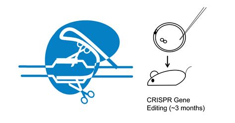 Generating Mouse Models Using Crisprcas9