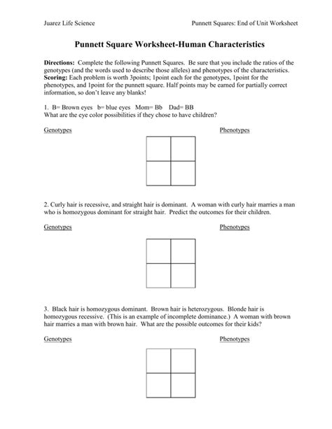 Punnett square worksheet