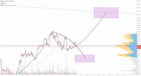 Bitcoin bulls will put in another bottom, buying at the current level as the bull market final dip into a bear market. BITCOIN trend 2 weeks from now for COINBASE:BTCUSD by ...