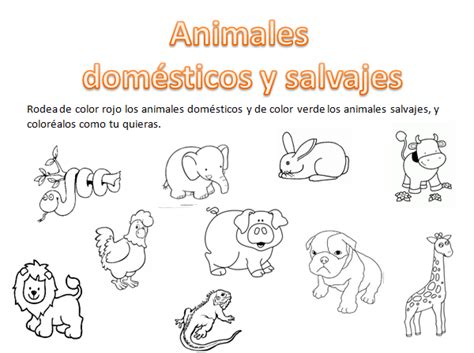 Dibujos Para Colorear De Animales Domesticos Y Salvajes | Animales