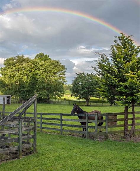 Blueprint 2 God: Beautiful Angels of the Most High encircling the Land