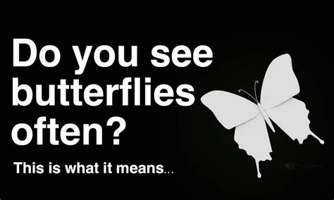 Check spelling or type a new query. If You See Butterflies Often, This Is What It Means ...
