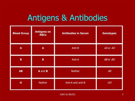 Ppt Abo And Rhd Blood Groups Powerpoint Presentation