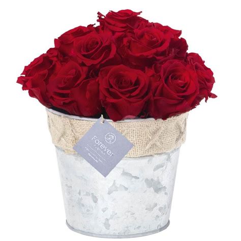Florerías Arreglo Rústico Con 15 Rosas Preservadas Rosatel Ica