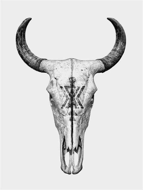 Cow Skull Drawing