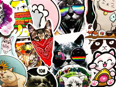 50 Cute Fat Grumpy Anime Cat Kitty Stickers