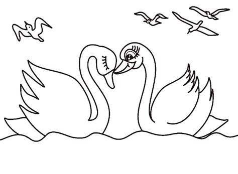Galeri gambar sketsa burung untuk kolase terbaru tidak merupakan sesuatu tabuh lagi jika medsos di era saat ini telah sering digunakan untu. 30+ Ide Keren Gambar Sketsa Angsa Love - Tea And Lead