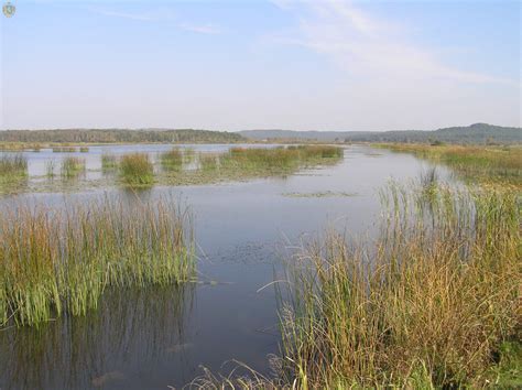Яворівський національний природний парк відзначає річницю створення 06 липня 2020 11:16 департамент екології та природних ресурсів львівської обласної державної адміністрації. Новини Львова: Яворівський національний природний парк ...