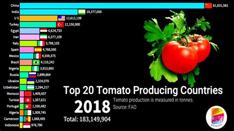 Top 20 Tomato Producing Countries Youtube