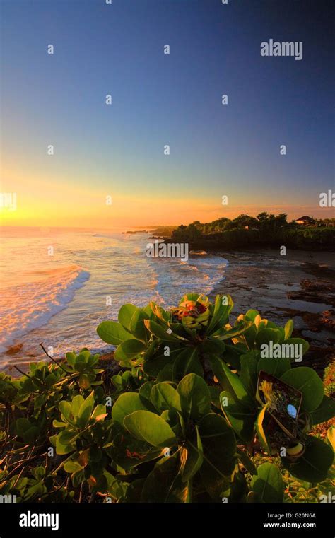 Stunning Sunset At Tanah Lot Bali Indonesia Stock Photo Alamy