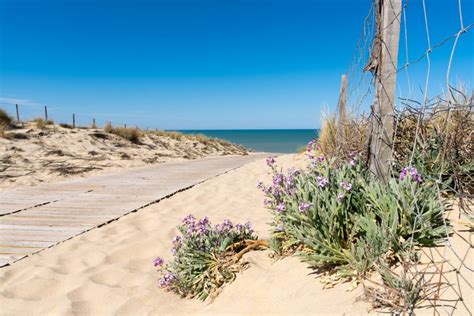 France naturisme des plages naturistes dexception en Gironde Qualité Office de Tourisme