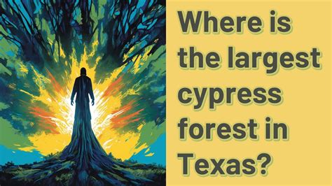 Where Is The Largest Cypress Forest In Texas Youtube