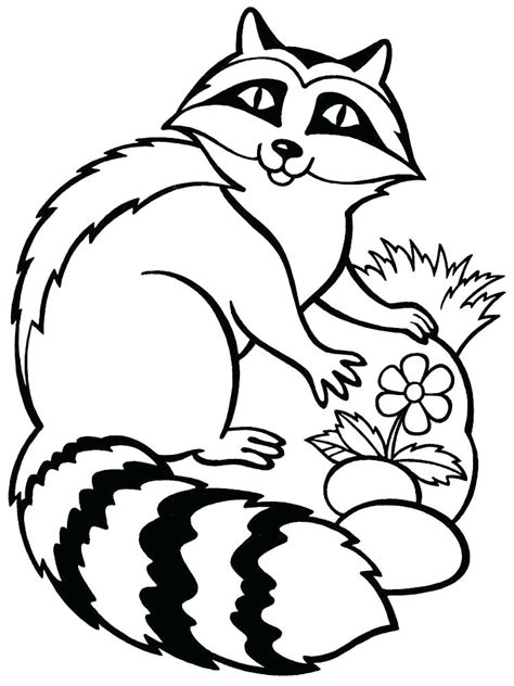 Raccoon coloring pages and printable activities. Raccoon Face Drawing | Free download on ClipArtMag