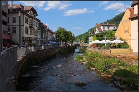 Bad Wildbad Baumwipfelpfad Schwarzwald