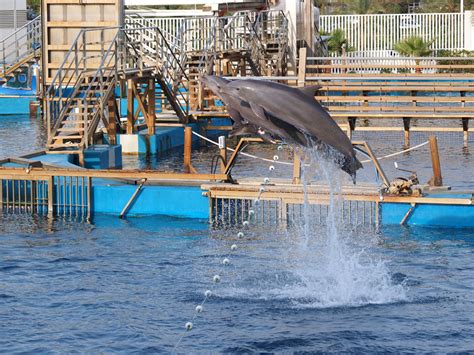 Ushaka Marine World