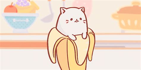 Banana Cat Album On Imgur