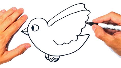 Cómo Dibujar Un Pájaro Fácil Dibujo De Pájaro Youtube