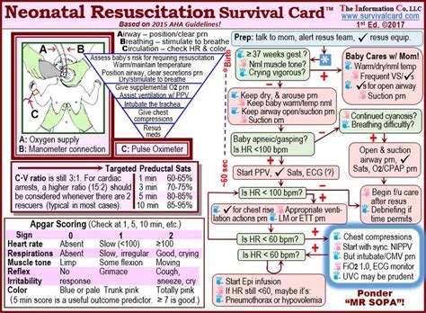 Nrp Study Guide 7th Edition Nrp Study Guide Survival Card