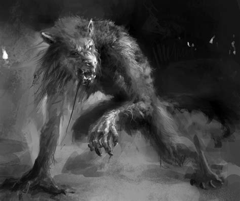 Werewolf Werewolf Werewolf Art Vampires And Werewolves