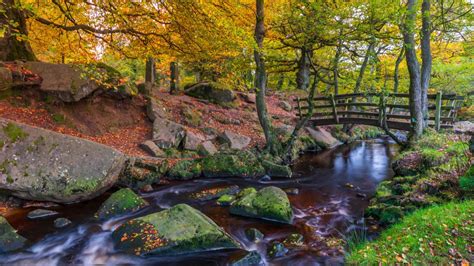 Forest Landscape With Bridge And River With Stones During Fall Hd