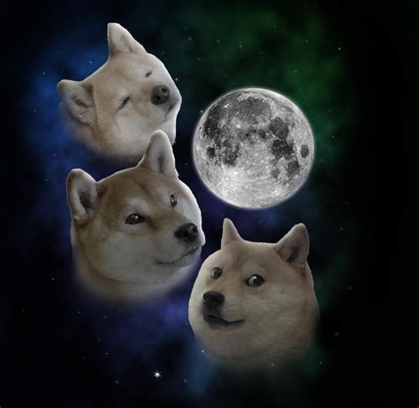 3 Doge Moon Rdoge