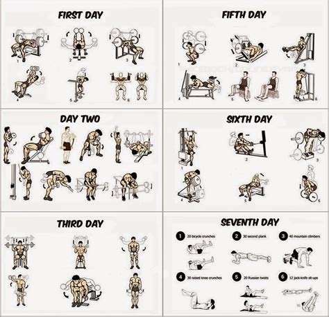 Workout Schedule For Building Muscle