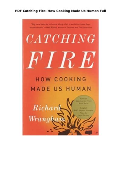 Pdf Catching Fire How Cooking Made Us Human Full