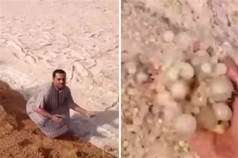 Get details of location, timings and contact. WATCH: Mysterious river discovered in Saudi Arabia Empty ...