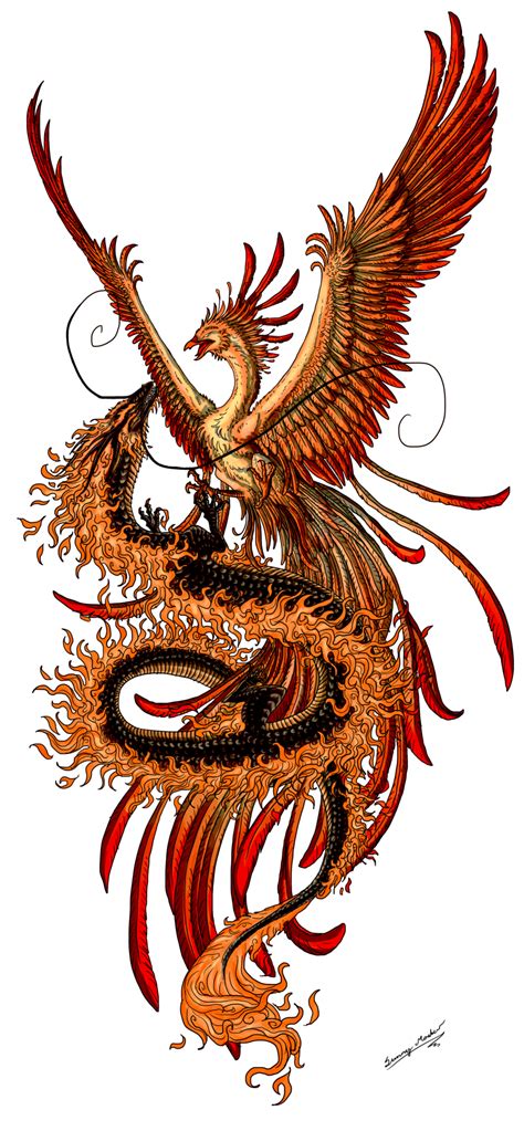 Phoenix and dragon by Sunima on deviantART | Tattoo dragon ...
