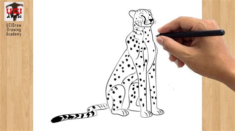 How To Draw Cheetah Easy Drawing Simple Step By Step Cute Cheetah