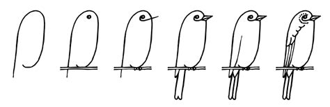 Lette Tegninger Af Fugle Søde Tegninger
