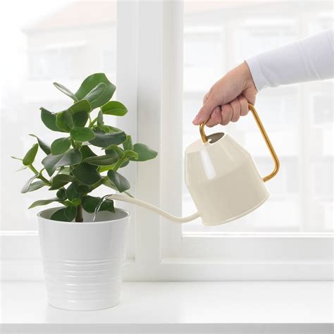 Vattenkrasse Ivory Gold Colour Watering Can Ikea