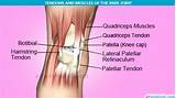 Back Of Knee Tendon Pain Treatment Images