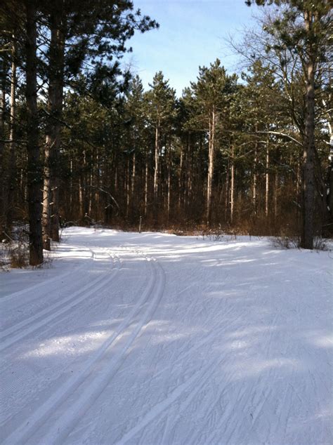 Groomed Ski Trails At Kettle Moraine South In Wisconsin Photo By