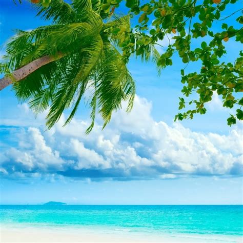10 Best Tropical Beaches Desktop Wallpaper Full Hd 1920×