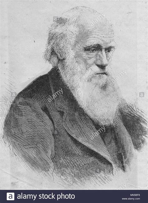 Portrait Of Charles Darwinvintage Engraved Illustration Published In