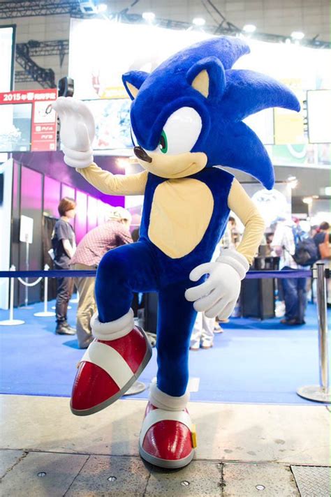 Tracker On Twitter Sonic Costume Sonic Mascot
