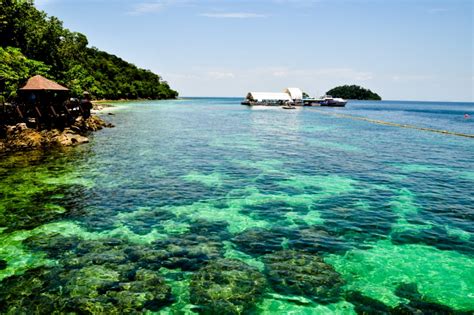 Cuma la ni baru tujuh puluh lima poin lapan persen. Langkawi part 3 : Berenang bersama Bayi Hiu di Pulau Payar ...