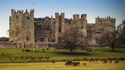 Raby Castle Phone Desktop Wallpapers Pictures Photos