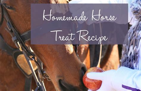 Ride It Treat Time Homemade Horse Treats And Rewards