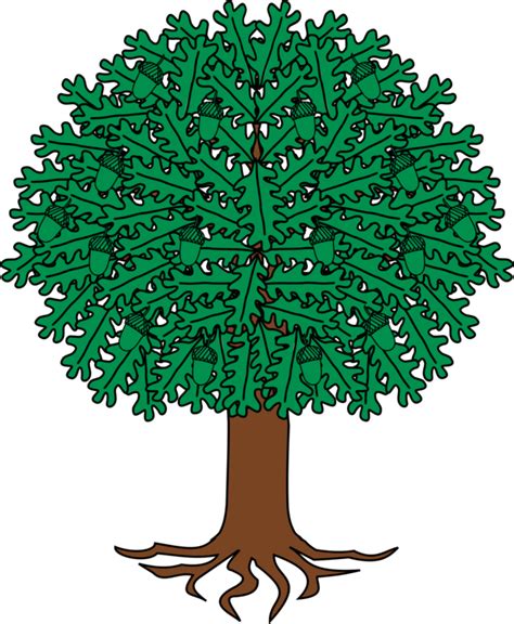 Plantleaftree Coat Of Arms Oak Tree Clipart Full Size Clipart