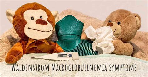 Which Are The Symptoms Of Waldenstrom Macroglobulinemia