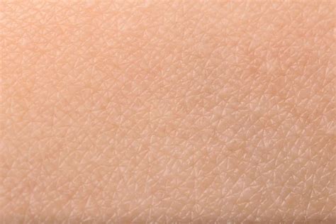 Human Skin Texture Images Search Images On Everypixel