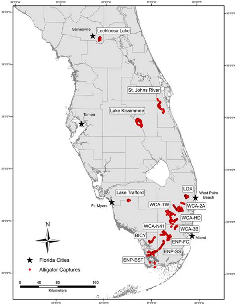 Locations Of 14 Aquatic Sites In Florida Used To Examine Alligator Body