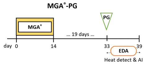 Heat Detection Protocols Beef Reproduction Task Force