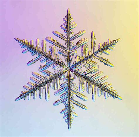Brain Post Why No Two Snowflakes Look Alike Snowbrains