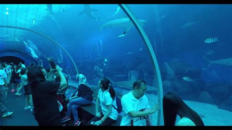 Sea Aquarium Sentosa Island Singapore