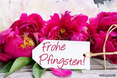 Frohe pfingsten und ein langes sonniges wochenende mit lieben grüßen von mir. Frohe Pfingsten, Pfingsten, Pfingstfest, Pfingstrosen mit ...